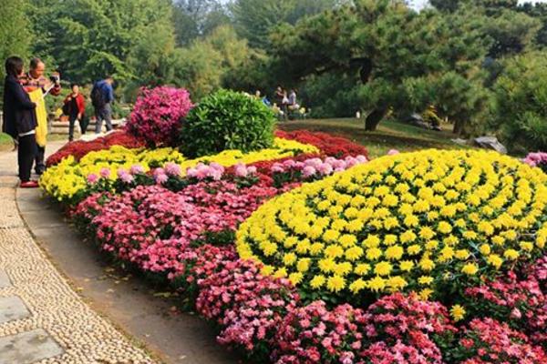 重阳节的起源和习俗是什么