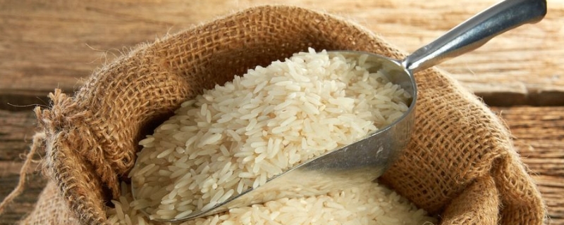 为什么大米不耐储存？如何防止大米受潮生虫