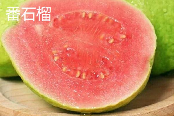 红如意石榴几月成熟？品种有什么特点