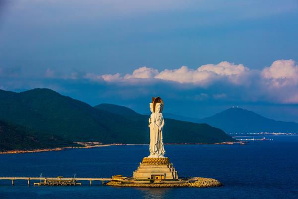 滴水观音花有毒吗？可以在室内饲养