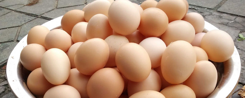 一斤鸡蛋多少钱