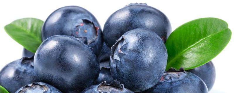 黑莓和蓝莓有什么区别？如何购买黑莓