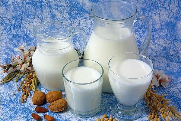 有机纯牛奶和纯牛奶有什么区别