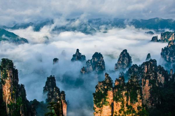 深圳有什么特产带回家