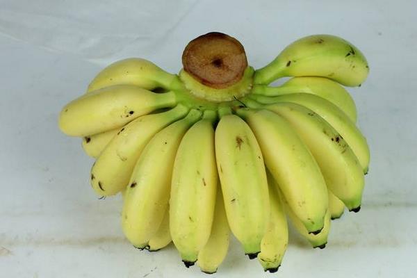 一斤香蕉多少钱